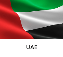 Nigeria Flag