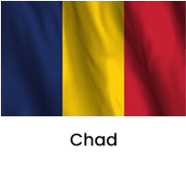 UAE Flag