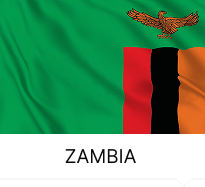 Zambia Flag